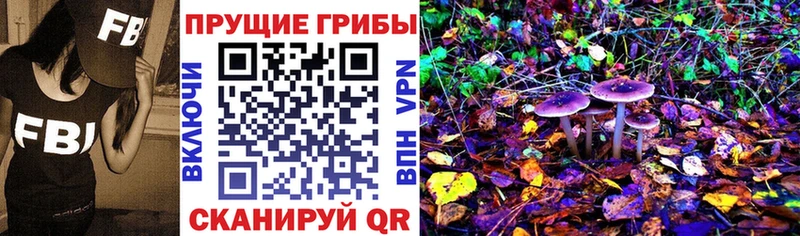 Галлюциногенные грибы Cubensis  blacksprut зеркало  Черногорск 