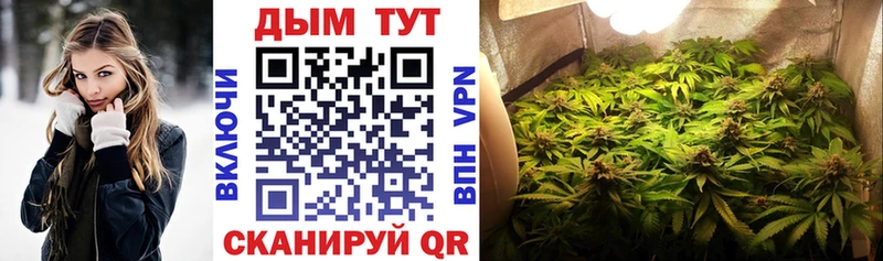 как найти наркотики  Черногорск  Марихуана план 